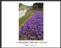 “大泽新城展新貌”摄影比赛获奖作品欣赏(25)_在线影展的作品