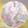 李卓华《菊韵》摄影作品欣赏(9)_在线影展的作品