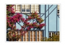 黄颖芳《美国游记--街景趣图》摄影作品欣赏(30)_在线影展的作品