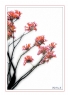 李卓华“春花烂漫-2014”摄影作品欣赏(1)_在线影展的作品
