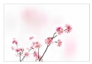 李卓华《?；ㄖ怠飞阌白髌沸郎?6)_在线影展的作品