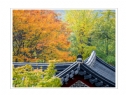 陈立文《首尔行之好色之途》摄影作品欣赏(7)_在线影展的作品