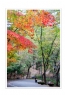 陈立文《首尔行之好色之途》摄影作品欣赏(40)_在线影展的作品