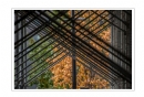 黄颖芳《美国游记--街景趣图》摄影作品欣赏(27)_在线影展的作品
