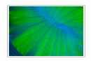 冯耀华《作嫁衣裳》摄影作品欣赏(24)_在线影展的作品