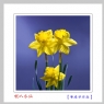 李卓华 作品(8)_李卓华的作品