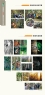 新会区摄影协会2013届摄影专修班学员作品展作品欣赏(8)_在线影展的作品