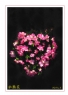 李卓华“春花烂漫-2014”摄影作品欣赏(7)_在线影展的作品