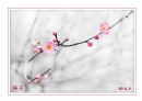 李卓华“春花烂漫-2014”摄影作品欣赏(23)_在线影展的作品