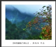 莫钧洵 作品(8)_莫钧洵的作品