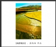 莫钧洵 作品(5)_莫钧洵的作品