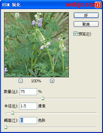 Photoshop让花卉照片更加清晰嫩绿
