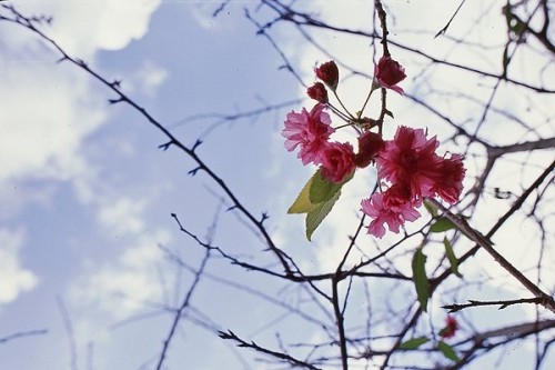 http://image1.nphoto.net/news/image/201211/f32a7a51d5864815.jpg